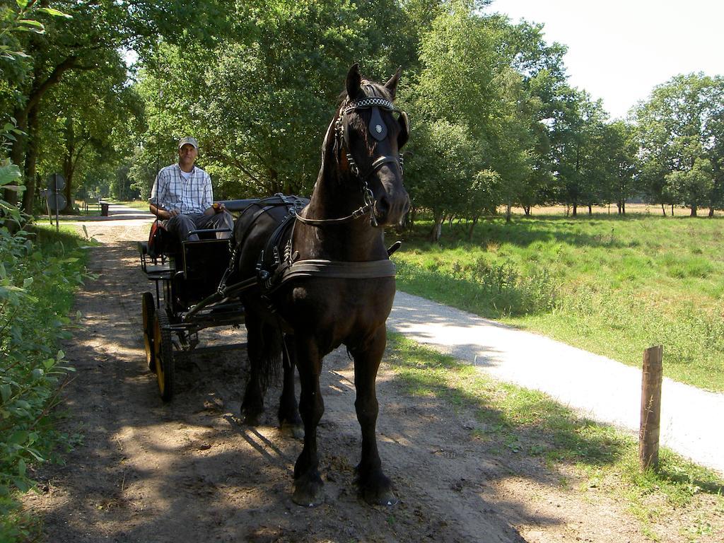 Ruinen Hoeve Den Anholt 빌라 외부 사진