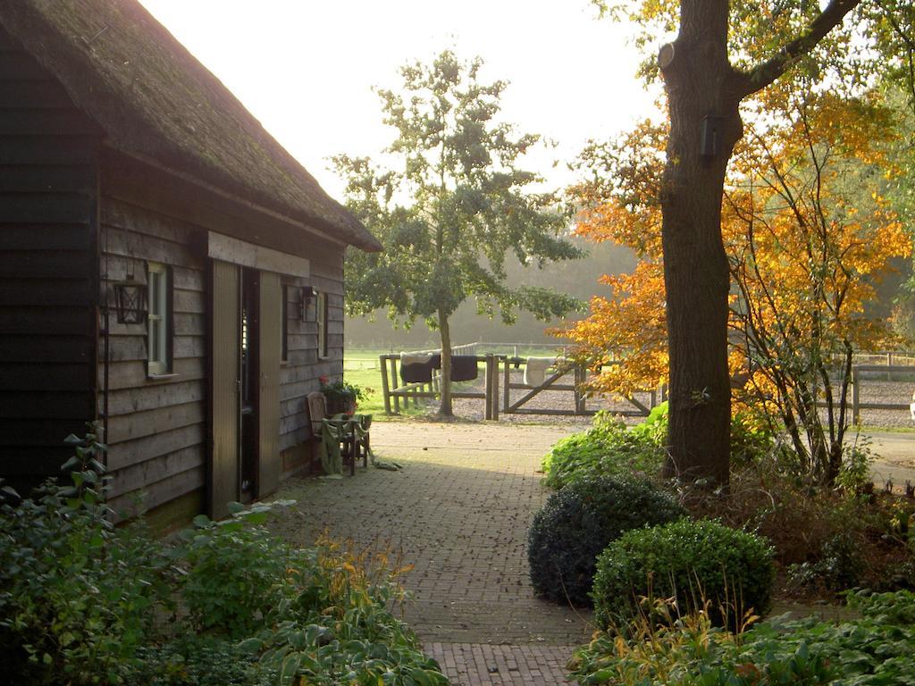 Ruinen Hoeve Den Anholt 빌라 외부 사진