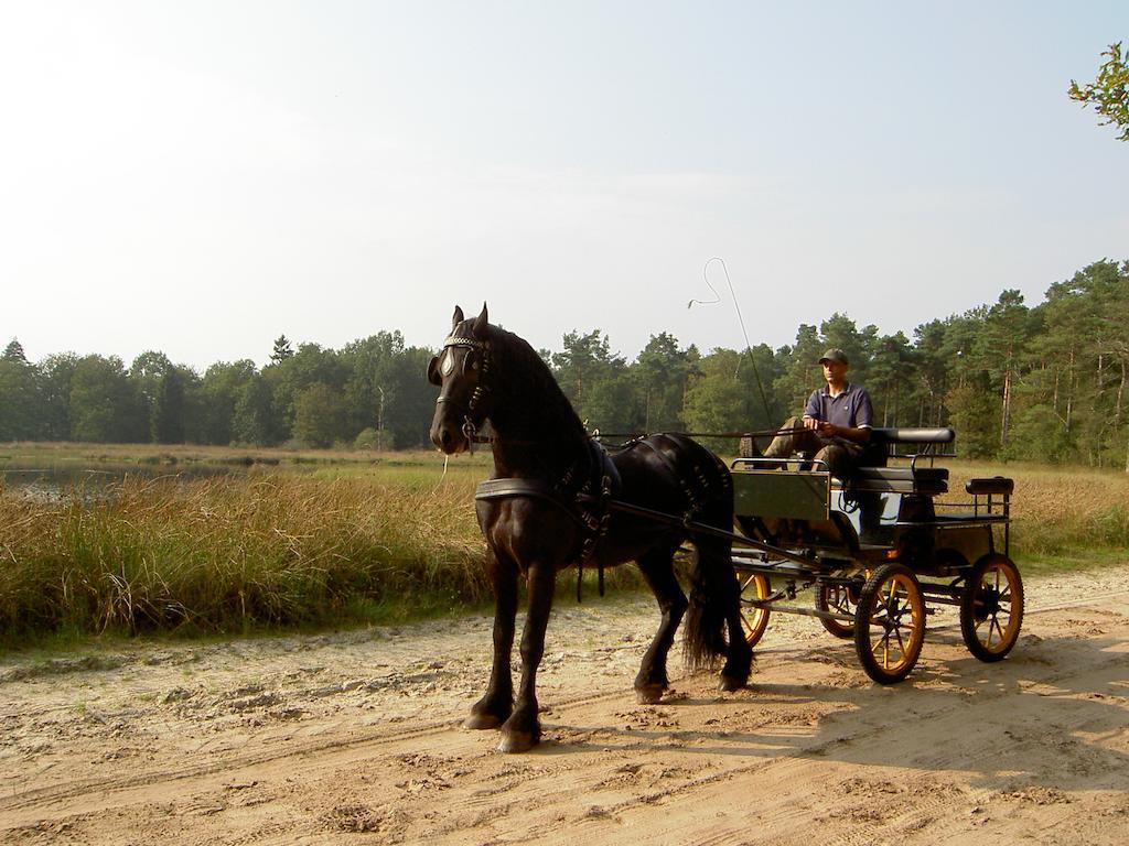 Ruinen Hoeve Den Anholt 빌라 외부 사진