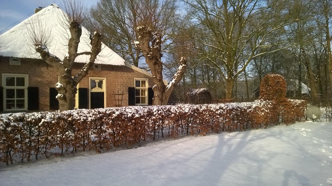 Ruinen Hoeve Den Anholt 빌라 외부 사진