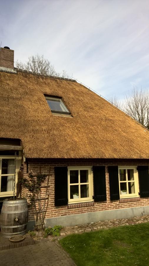 Ruinen Hoeve Den Anholt 빌라 외부 사진