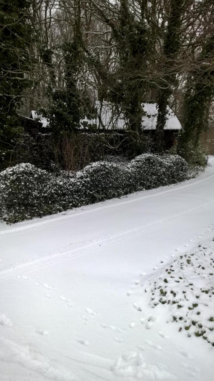 Ruinen Hoeve Den Anholt 빌라 외부 사진