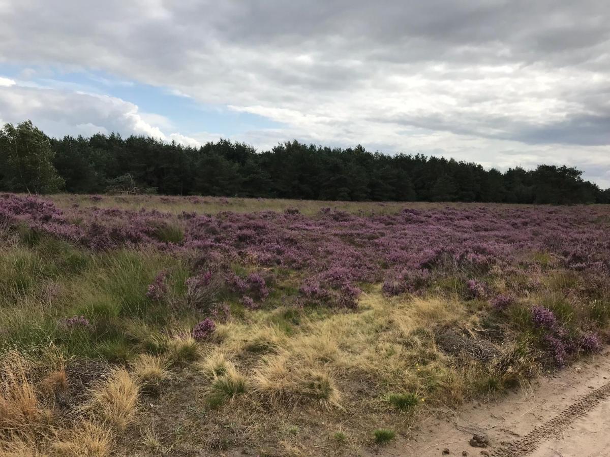 Ruinen Hoeve Den Anholt 빌라 외부 사진