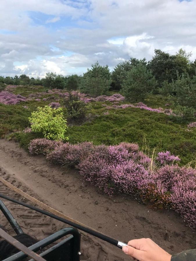 Ruinen Hoeve Den Anholt 빌라 외부 사진